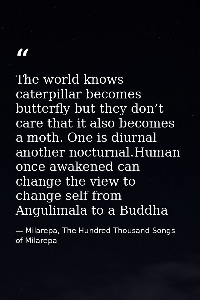 The world knows caterpillar becomes butterfly but they don’t care that it also becomes a moth. One is diurnal another no — Milarepa, The Hundred Thousand Songs of Milarepa
