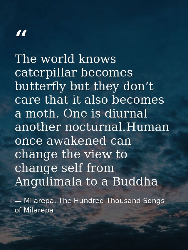 The world knows caterpillar becomes butterfly but they don’t care that it also becomes a moth. One is diurnal another no — Milarepa, The Hundred Thousand Songs of Milarepa