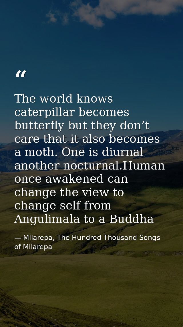The world knows caterpillar becomes butterfly but they don’t care that it also becomes a moth. One is diurnal another no — Milarepa, The Hundred Thousand Songs of Milarepa