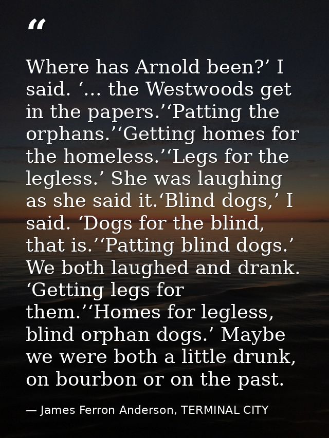 Where has Arnold been?’ I said. ‘... the Westwoods get in the papers.’‘Patting the orphans.’‘Getting homes for the homel — James Ferron Anderson, TERMINAL CITY