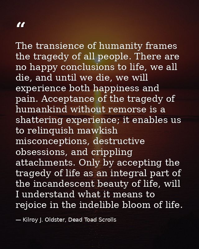 The transience of humanity frames the tragedy of all people. There are no happy conclusions to life, we all die, and unt — Kilroy J. Oldster, Dead Toad Scrolls