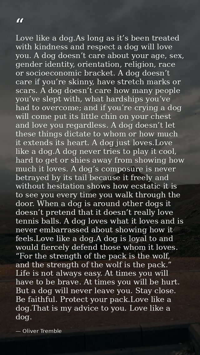Love like a dog.As long as it’s been treated with kindness and respect a dog will love you. A dog doesn’t care about you — Oliver Tremble