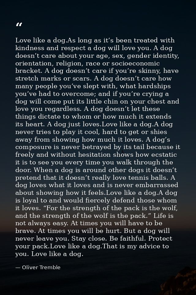 Love like a dog.As long as it’s been treated with kindness and respect a dog will love you. A dog doesn’t care about you — Oliver Tremble