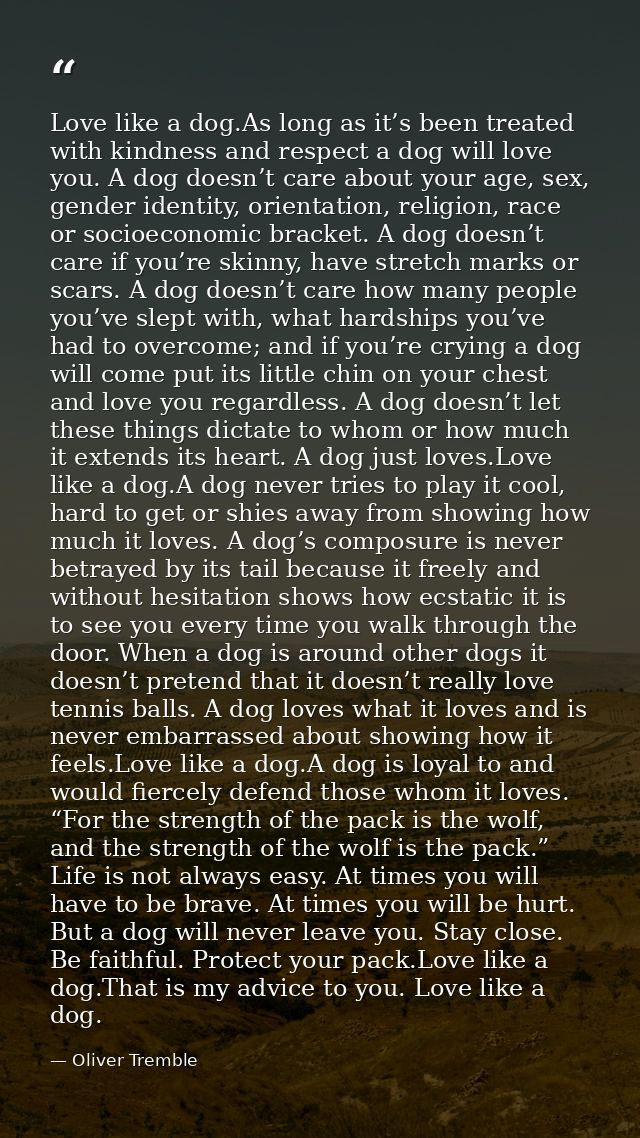 Love like a dog.As long as it’s been treated with kindness and respect a dog will love you. A dog doesn’t care about you — Oliver Tremble