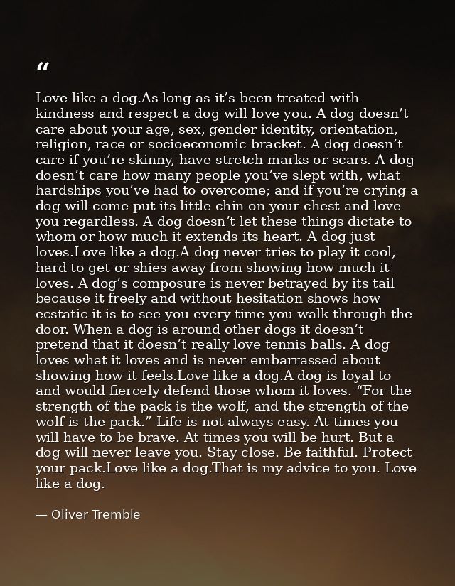 Love like a dog.As long as it’s been treated with kindness and respect a dog will love you. A dog doesn’t care about you — Oliver Tremble