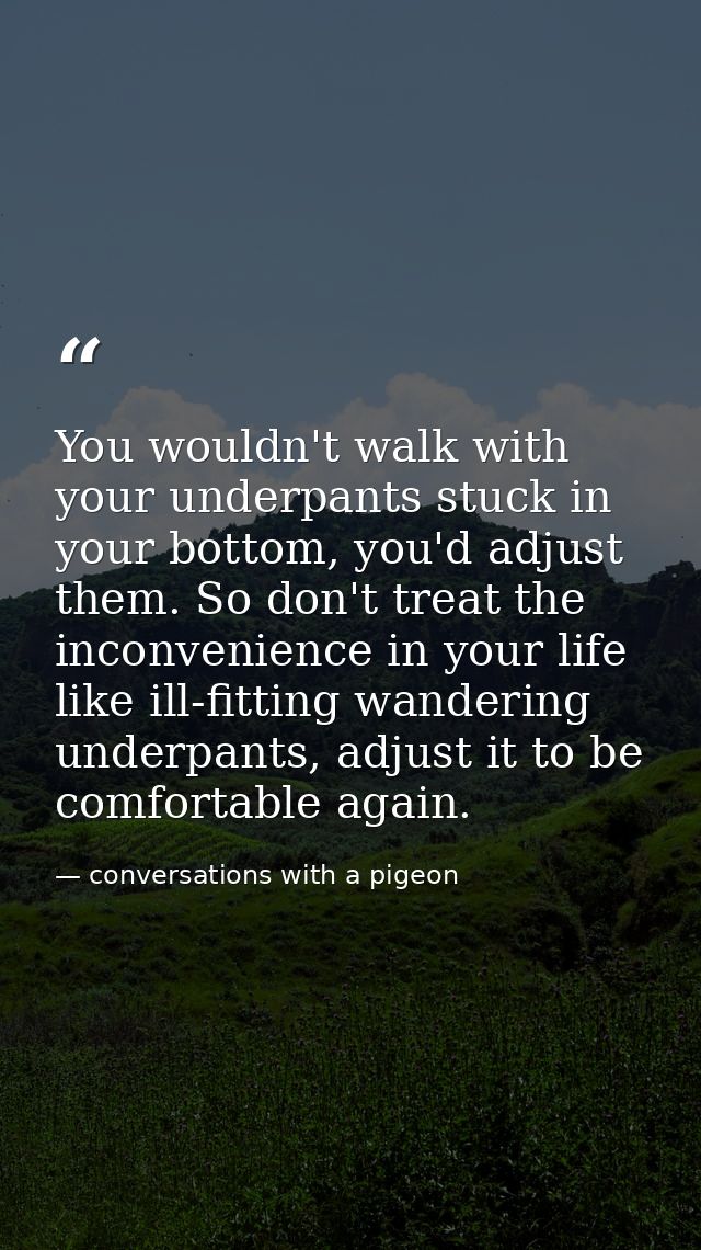 You wouldn't walk with your underpants stuck in your bottom, you'd adjust them. So don't treat the inconvenience in your — conversations with a pigeon