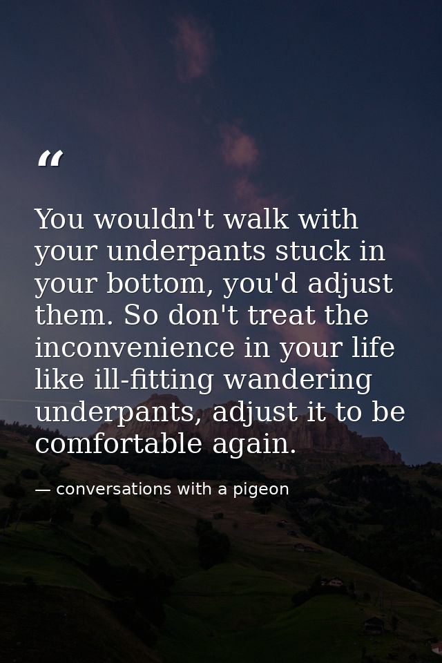 You wouldn't walk with your underpants stuck in your bottom, you'd adjust them. So don't treat the inconvenience in your — conversations with a pigeon