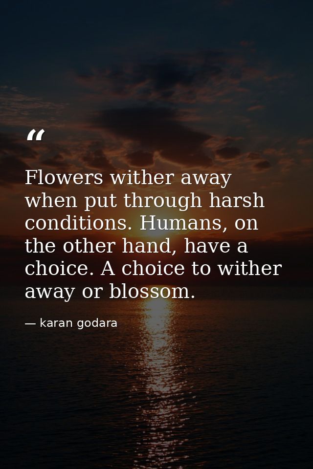 Flowers wither away when put through harsh conditions. Humans, on the other hand, have a choice. A choice to wither away — karan godara