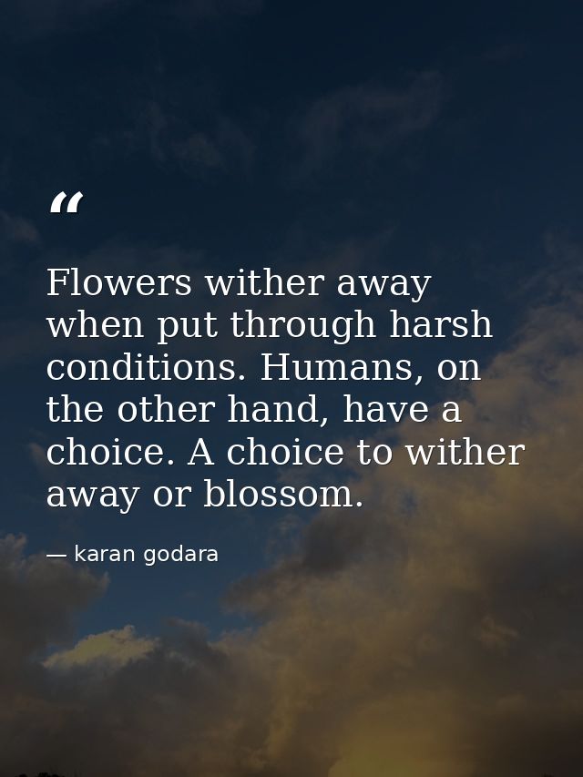 Flowers wither away when put through harsh conditions. Humans, on the other hand, have a choice. A choice to wither away — karan godara