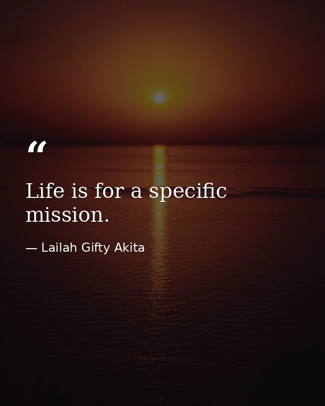 Life is for a specific mission. — Lailah Gifty Akita