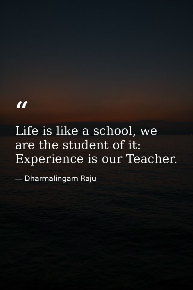Life is like a school, we are the student of it: Experience is our Teacher. — Dharmalingam Raju