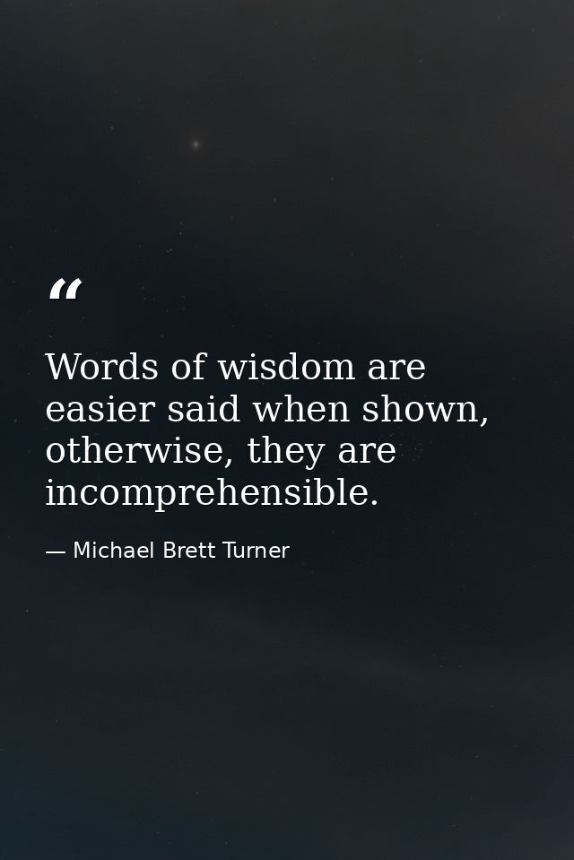 Words of wisdom are easier said when shown, otherwise, they are incomprehensible. — Michael Brett Turner