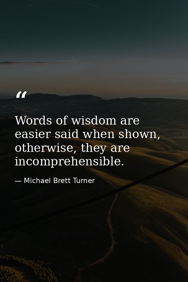 Words of wisdom are easier said when shown, otherwise, they are incomprehensible. — Michael Brett Turner