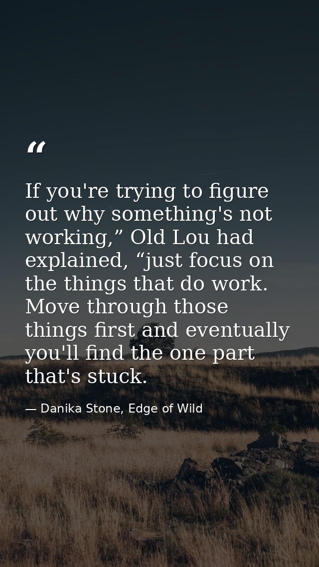 If you're trying to figure out why something's not working,” Old Lou had explained, “just focus on the things that do wo — Danika Stone, Edge of Wild