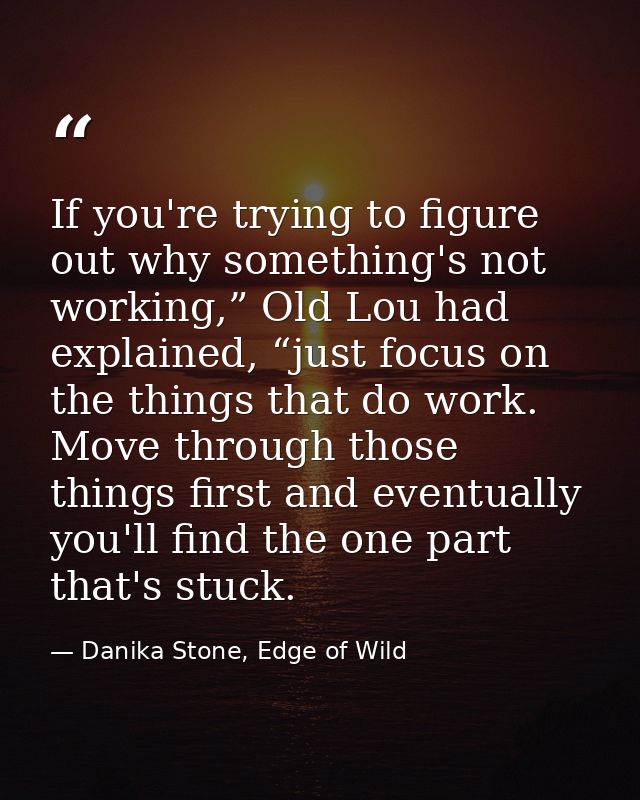 If you're trying to figure out why something's not working,” Old Lou had explained, “just focus on the things that do wo — Danika Stone, Edge of Wild