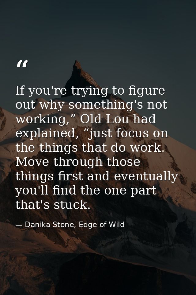 If you're trying to figure out why something's not working,” Old Lou had explained, “just focus on the things that do wo — Danika Stone, Edge of Wild