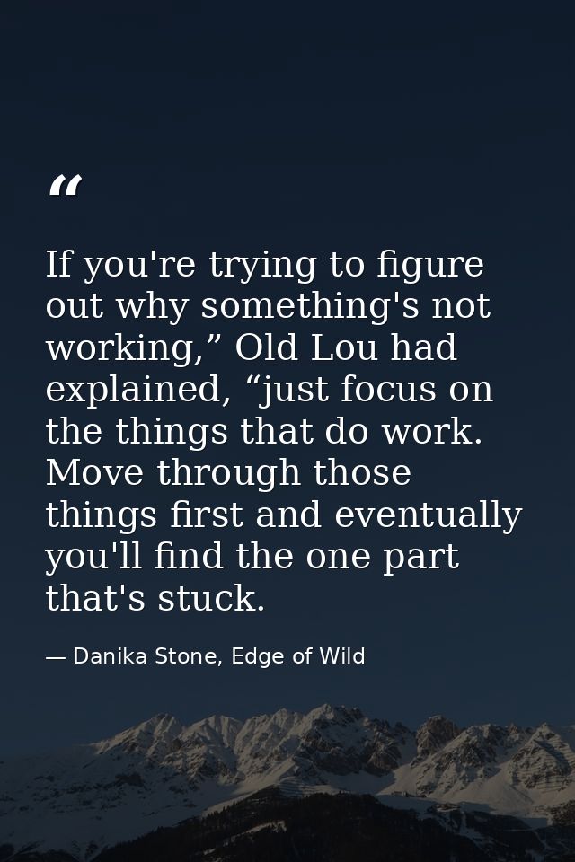 If you're trying to figure out why something's not working,” Old Lou had explained, “just focus on the things that do wo — Danika Stone, Edge of Wild