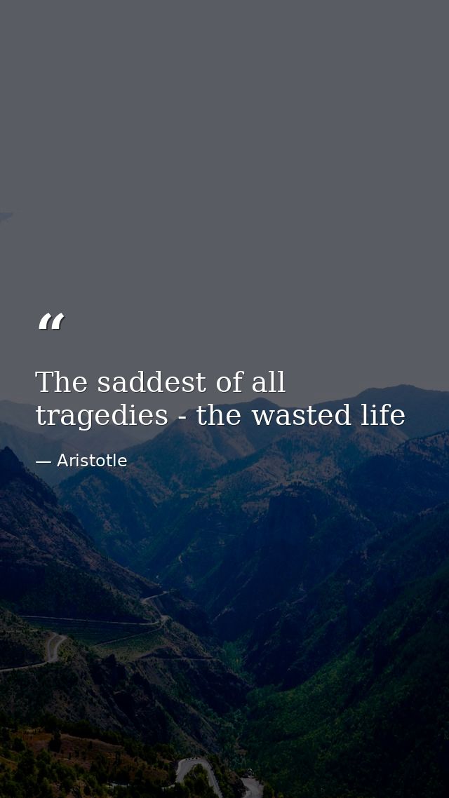 The saddest of all tragedies - the wasted life — Aristotle