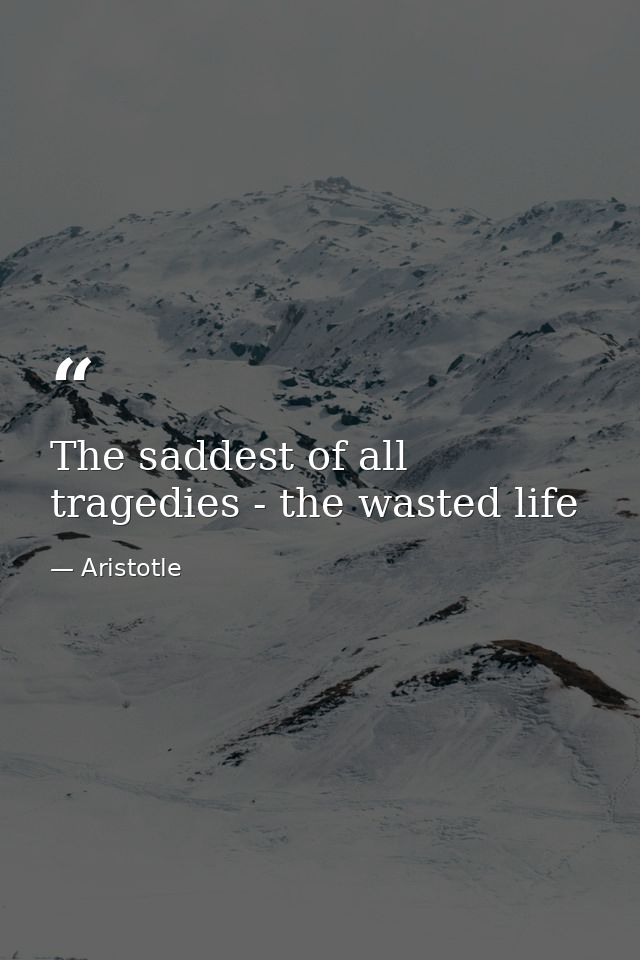 The saddest of all tragedies - the wasted life — Aristotle