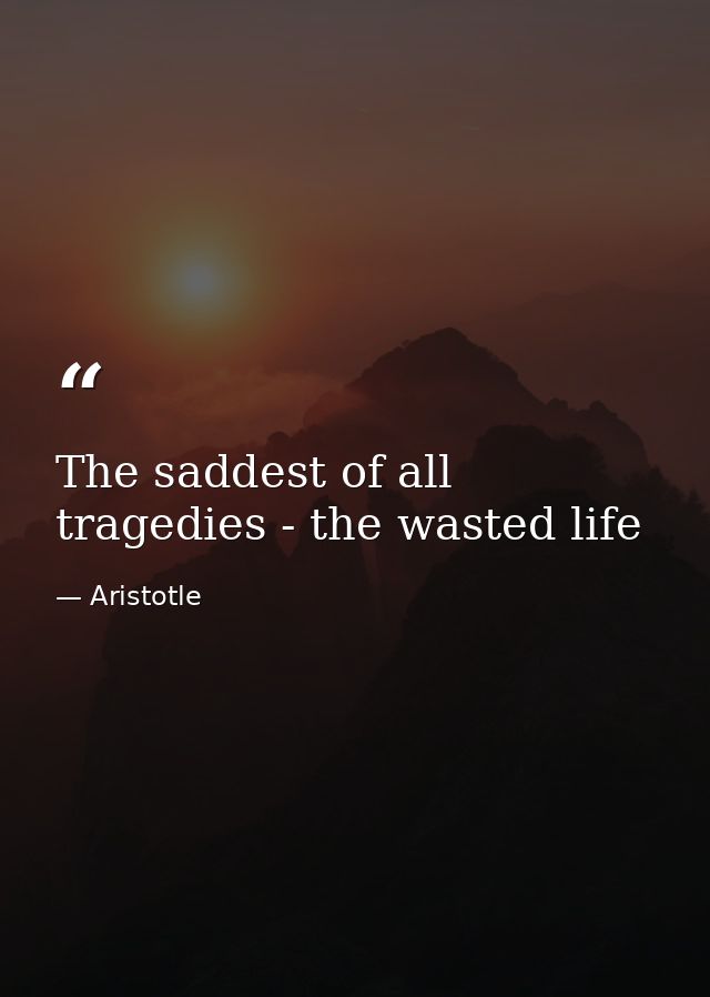 The saddest of all tragedies - the wasted life — Aristotle