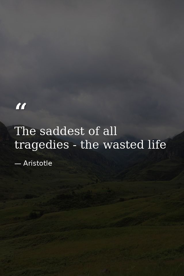 The saddest of all tragedies - the wasted life — Aristotle