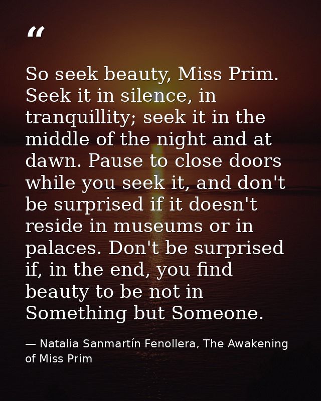 So seek beauty, Miss Prim. Seek it in silence, in tranquillity; seek it in the middle of the night and at dawn. Pause to — Natalia Sanmartín Fenollera, The Awakening of Miss Prim