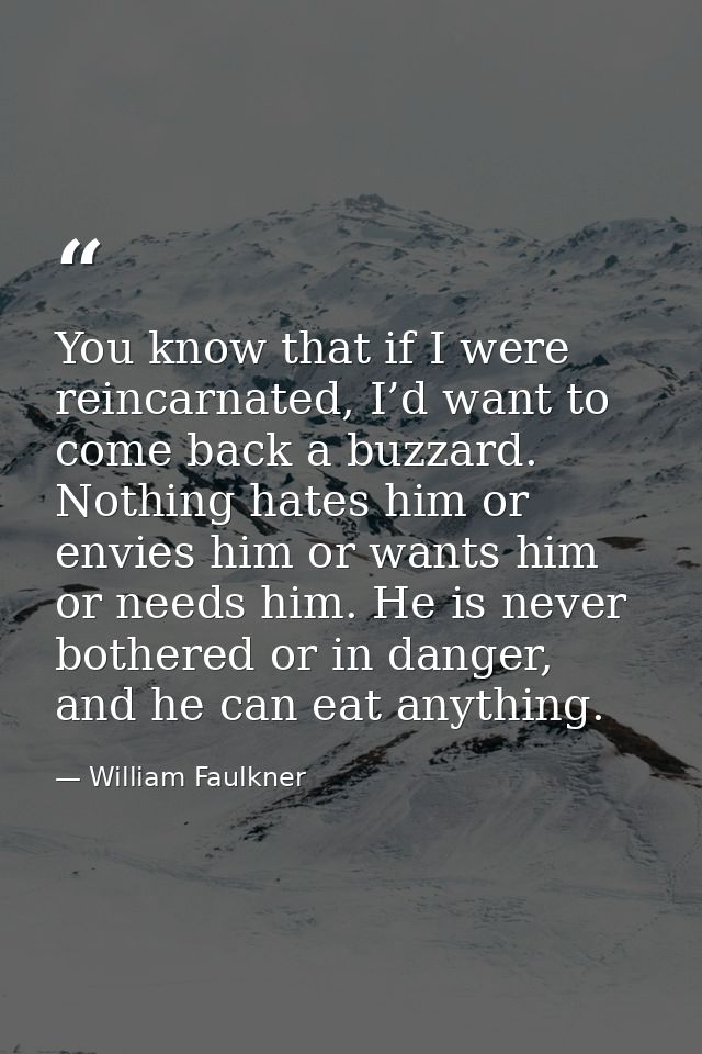 You know that if I were reincarnated, I’d want to come back a buzzard. Nothing hates him or envies him or wants him or n — William Faulkner