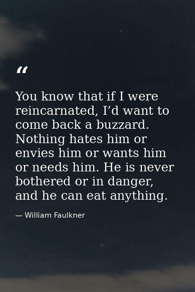 You know that if I were reincarnated, I’d want to come back a buzzard. Nothing hates him or envies him or wants him or n — William Faulkner