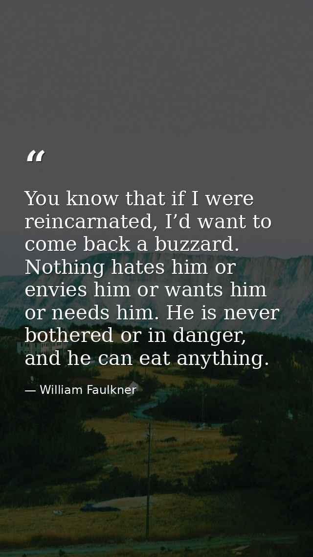 You know that if I were reincarnated, I’d want to come back a buzzard. Nothing hates him or envies him or wants him or n — William Faulkner