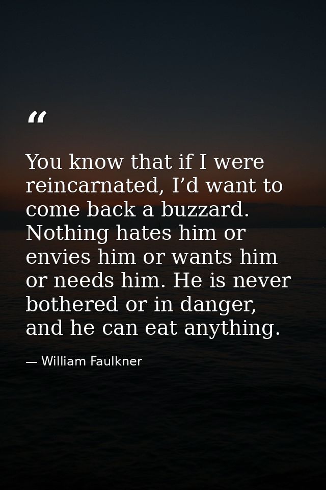 You know that if I were reincarnated, I’d want to come back a buzzard. Nothing hates him or envies him or wants him or n — William Faulkner