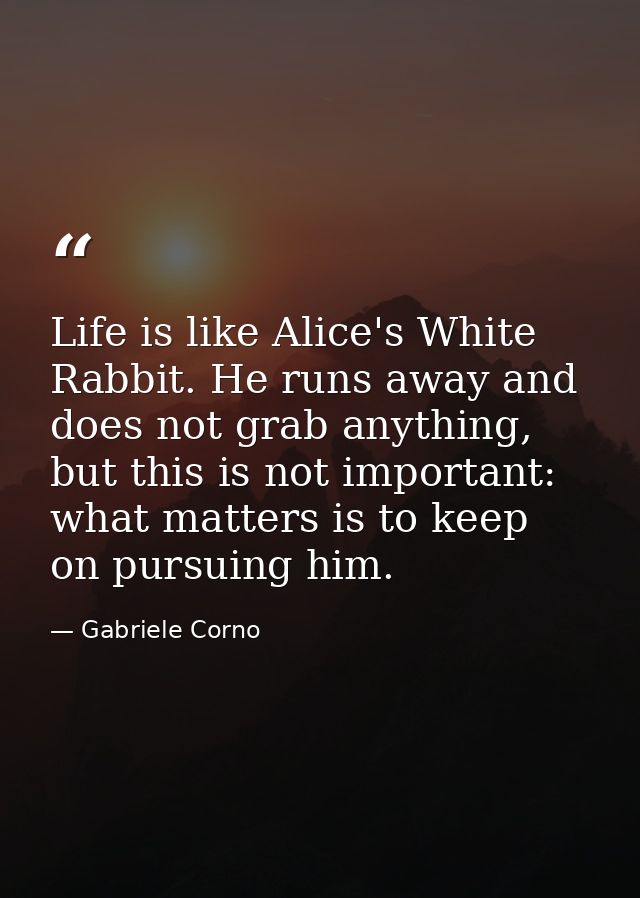 Life is like Alice's White Rabbit. He runs away and does not grab anything, but this is not important: what matters is t — Gabriele Corno