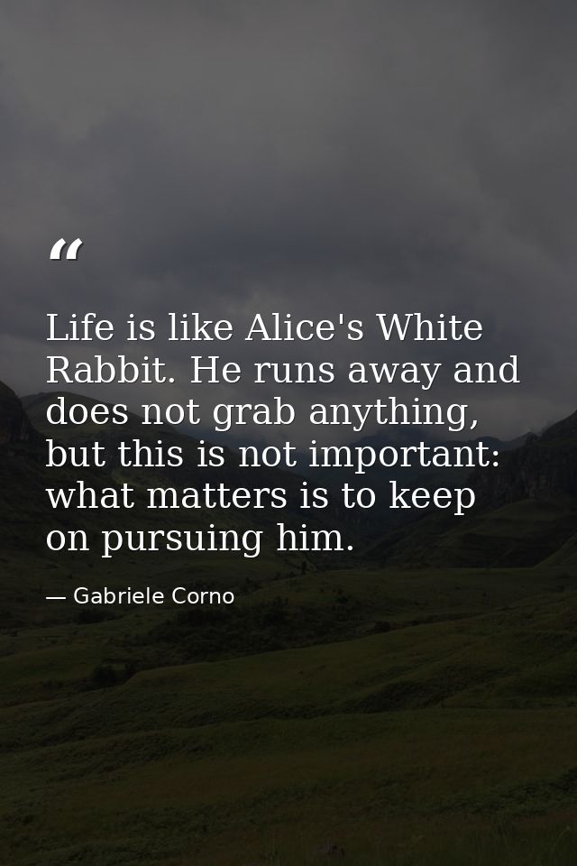 Life is like Alice's White Rabbit. He runs away and does not grab anything, but this is not important: what matters is t — Gabriele Corno