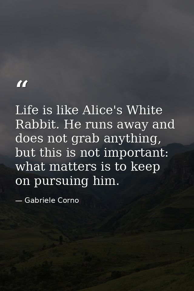 Life is like Alice's White Rabbit. He runs away and does not grab anything, but this is not important: what matters is t — Gabriele Corno