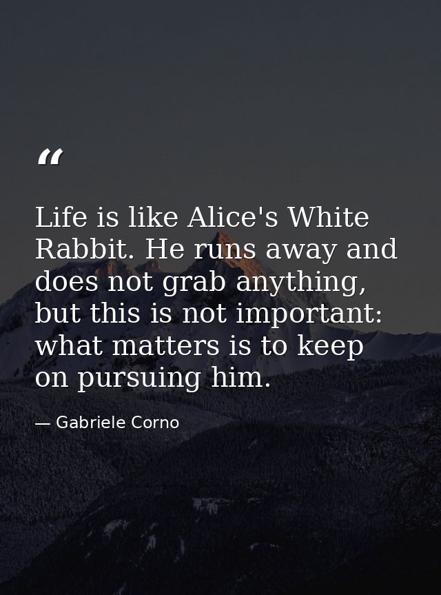 Life is like Alice's White Rabbit. He runs away and does not grab anything, but this is not important: what matters is t — Gabriele Corno