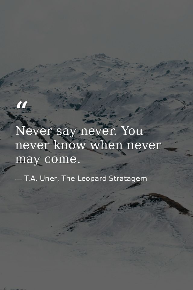 Never say never. You never know when never may come. — T.A. Uner, The Leopard Stratagem