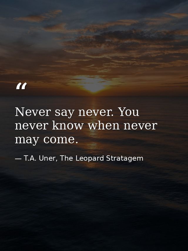 Never say never. You never know when never may come. — T.A. Uner, The Leopard Stratagem
