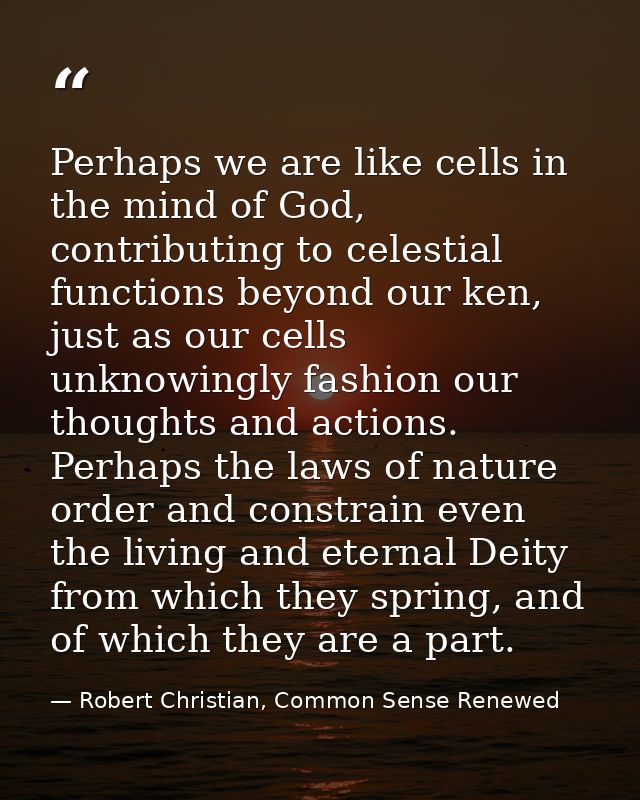 Perhaps we are like cells in the mind of God, contributing to celestial functions beyond our ken, just as our cells unkn — Robert Christian, Common Sense Renewed