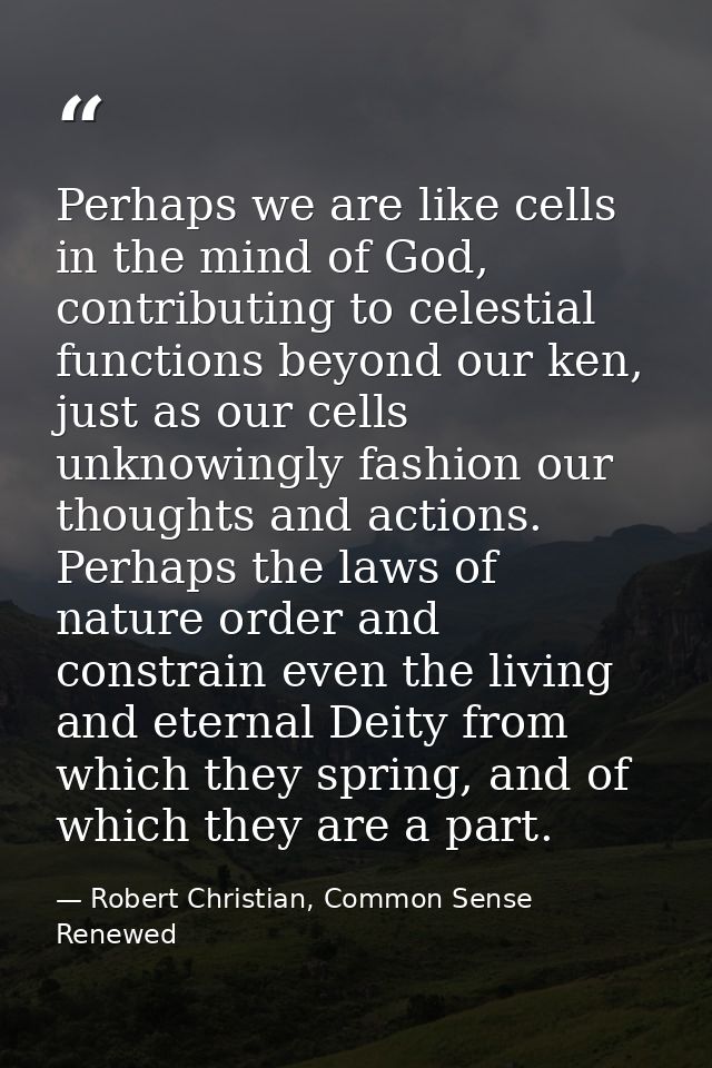 Perhaps we are like cells in the mind of God, contributing to celestial functions beyond our ken, just as our cells unkn — Robert Christian, Common Sense Renewed