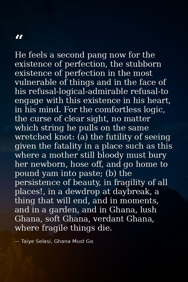 He feels a second pang now for the existence of perfection, the stubborn existence of perfection in the most vulnerable  — Taiye Selasi, Ghana Must Go