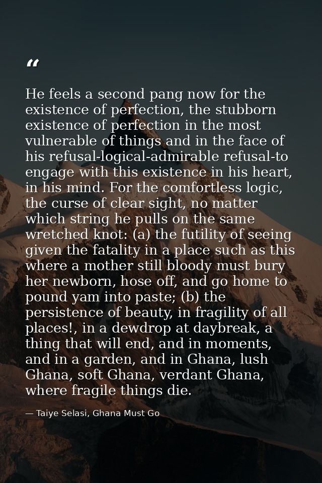 He feels a second pang now for the existence of perfection, the stubborn existence of perfection in the most vulnerable  — Taiye Selasi, Ghana Must Go