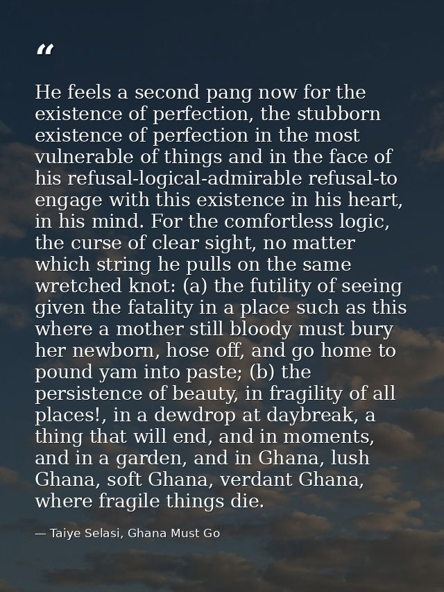 He feels a second pang now for the existence of perfection, the stubborn existence of perfection in the most vulnerable  — Taiye Selasi, Ghana Must Go