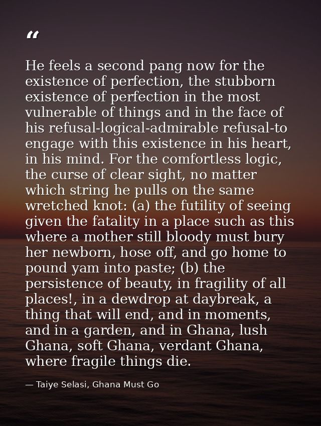 He feels a second pang now for the existence of perfection, the stubborn existence of perfection in the most vulnerable  — Taiye Selasi, Ghana Must Go