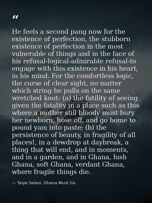 He feels a second pang now for the existence of perfection, the stubborn existence of perfection in the most vulnerable  — Taiye Selasi, Ghana Must Go