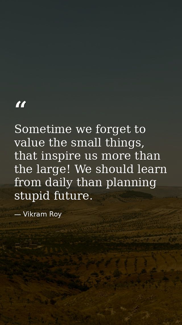 Sometime we forget to value the small things, that inspire us more than the large! We should learn from daily than plann — Vikram Roy