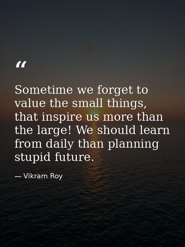 Sometime we forget to value the small things, that inspire us more than the large! We should learn from daily than plann — Vikram Roy