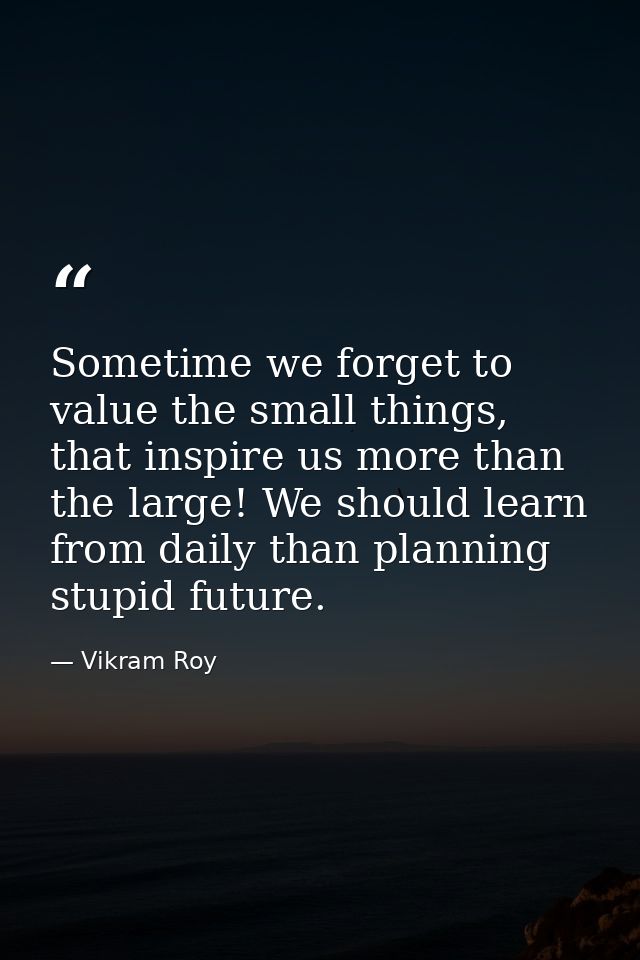 Sometime we forget to value the small things, that inspire us more than the large! We should learn from daily than plann — Vikram Roy