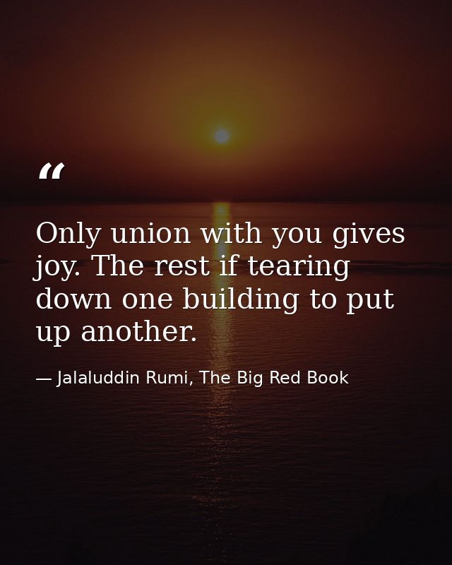 Only union with you gives joy. The rest if tearing down one building to put up another. — Jalaluddin Rumi, The Big Red Book