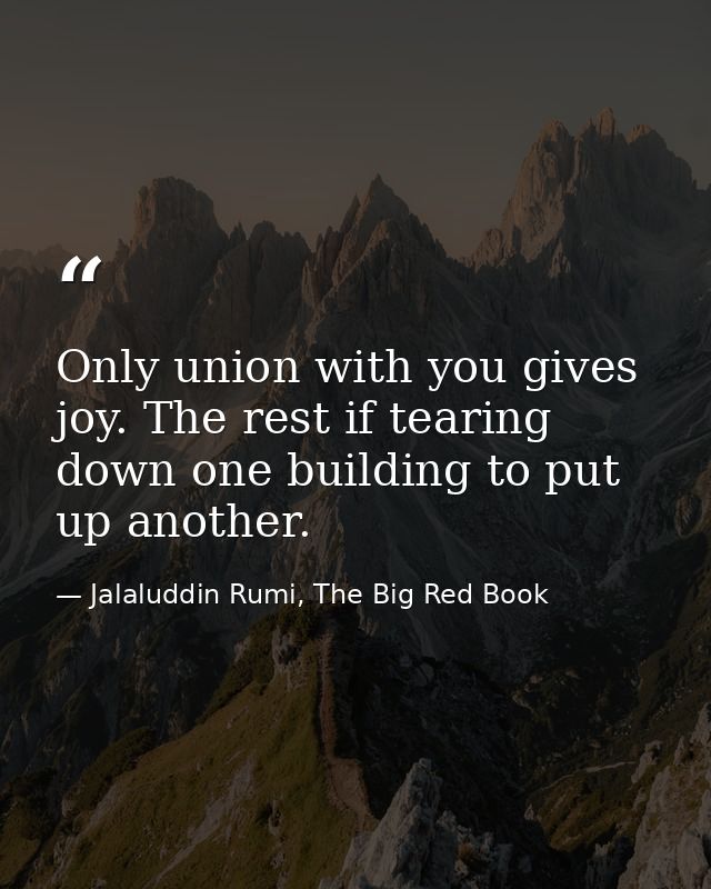 Only union with you gives joy. The rest if tearing down one building to put up another. — Jalaluddin Rumi, The Big Red Book
