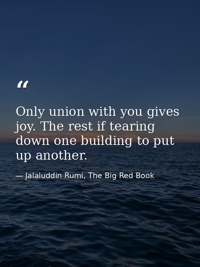 Only union with you gives joy. The rest if tearing down one building to put up another. — Jalaluddin Rumi, The Big Red Book
