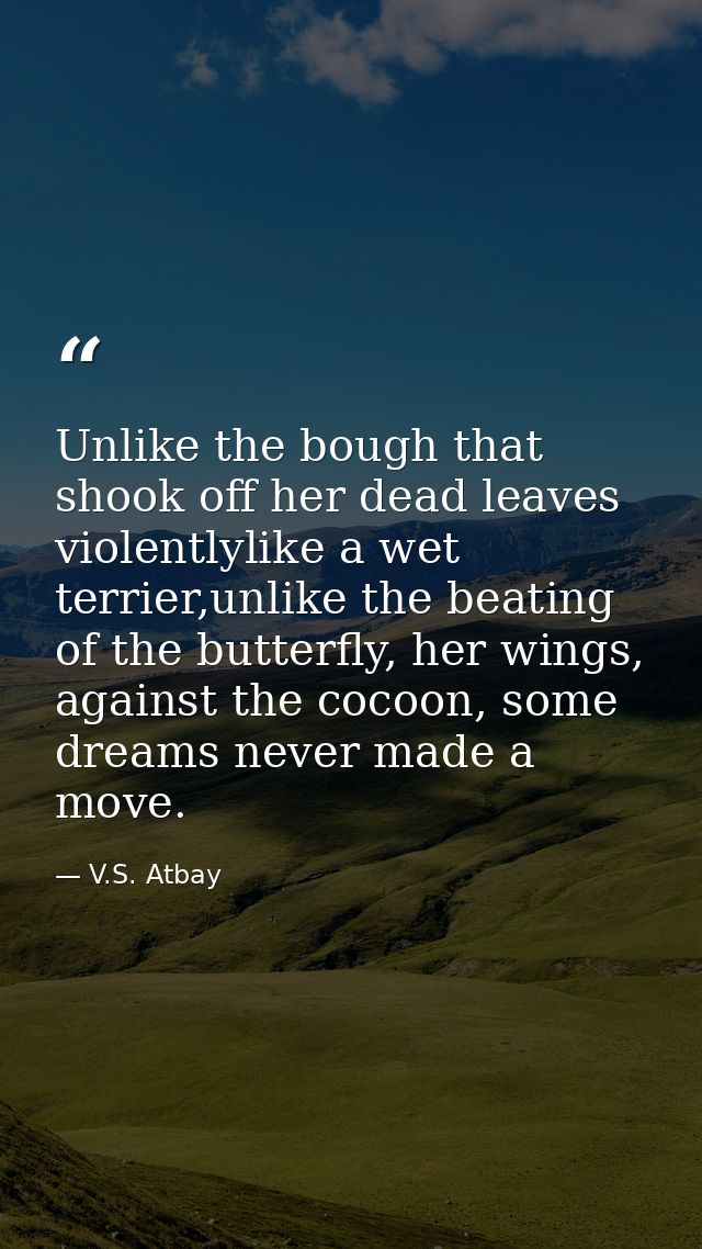 Unlike the bough that shook off her dead leaves violentlylike a wet terrier,unlike the beating of the butterfly, her win — V.S. Atbay